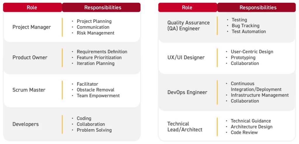 infographic about the roles of sowatre development teams